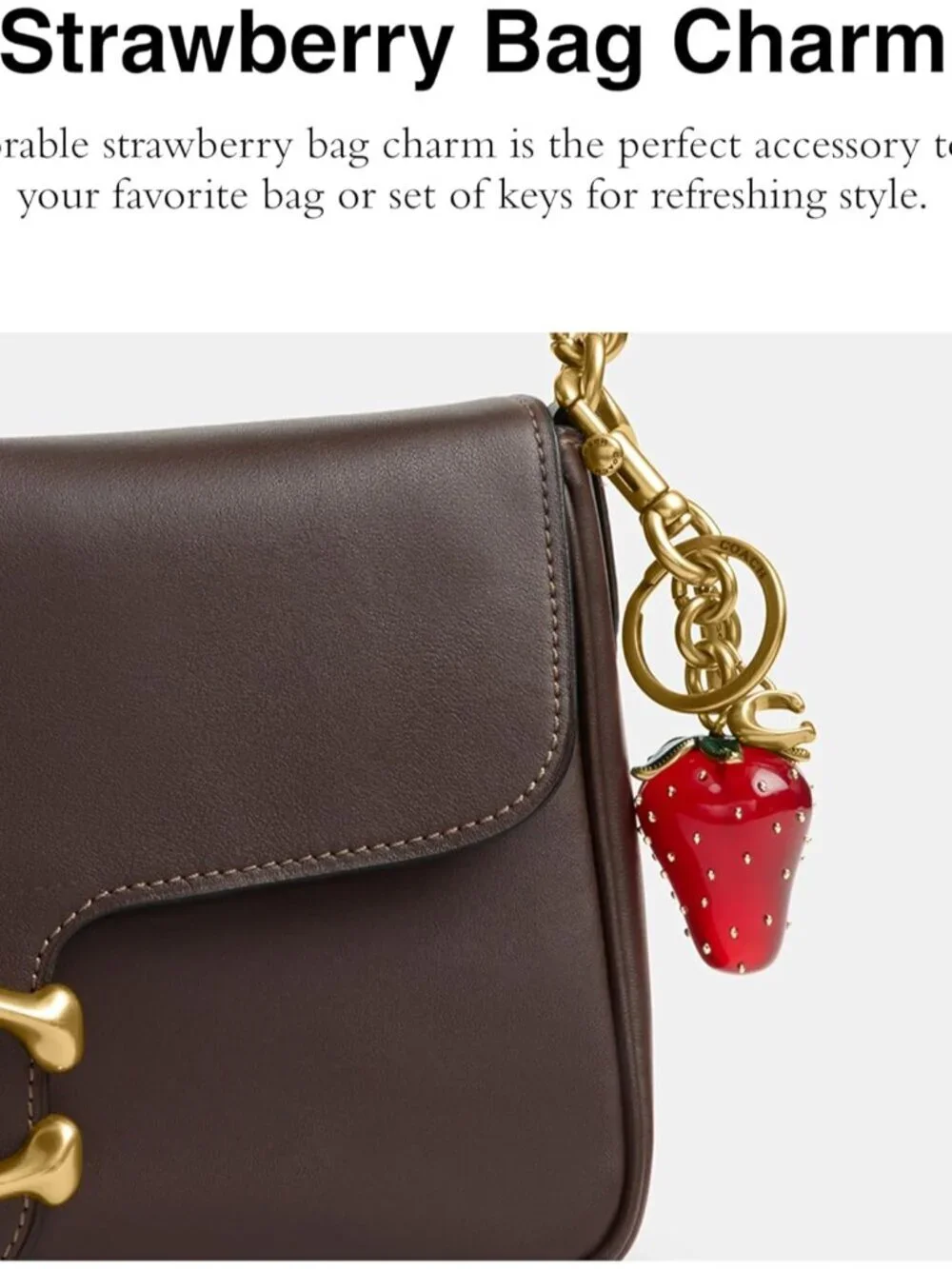 Coach elegant bow